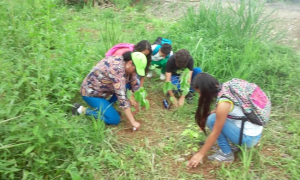 Cotopaxi Markapak jovenes mashikunaman kaysaypachamanta yachanchinmi