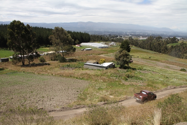 Obras de riego en La Platería - San Bartolomé mejorarán producción agrícola