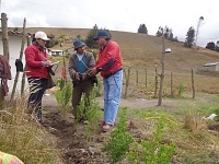 COTOPAXI CONTINUA CON PLAN FORESTAL 574 HECTAREAS REFORESTADAS