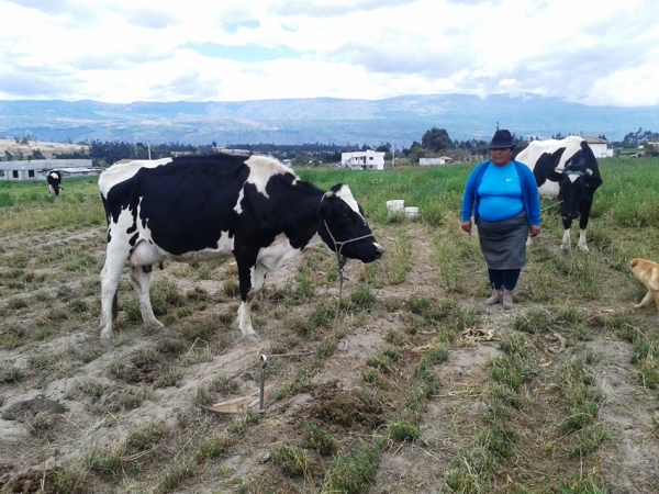 Se evalúan los Proyecto Productivos