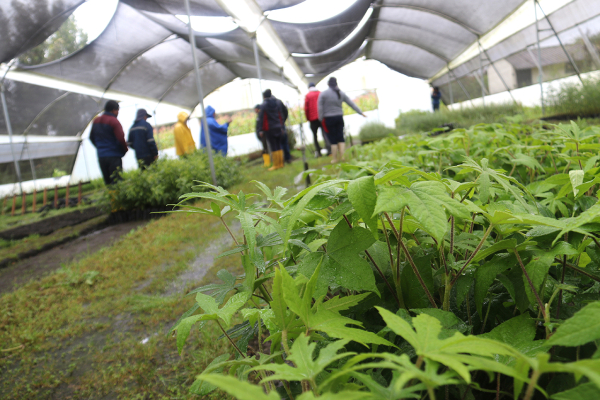 La Quinta Tunducama, se proyecta como referente de conservación y producción