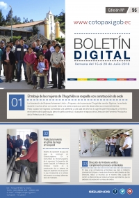 BOLETÍN # 96