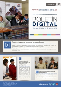 BOLETÍN # 80