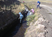 Informe de las actividades Realizadas Canales Estatales