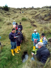 GAD PROVINCIAL DE COTOPAXI A TRAVÉS DE LA DIRECCIÓN DE GESTIÓN AMBIENTAL REALIZA CONSERVACIÓN Y PROTECCIÓN DE PÁRAMO EN EL CANTÓN PUJILÍ