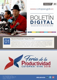 BOLETÍN # 81