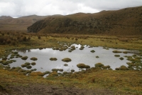 Gobierno Provincial Cotopaxi markamanta kay Alumies yakumanta sentencia pankakunata chaskirkami