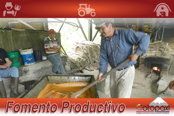 Fomento Productivo