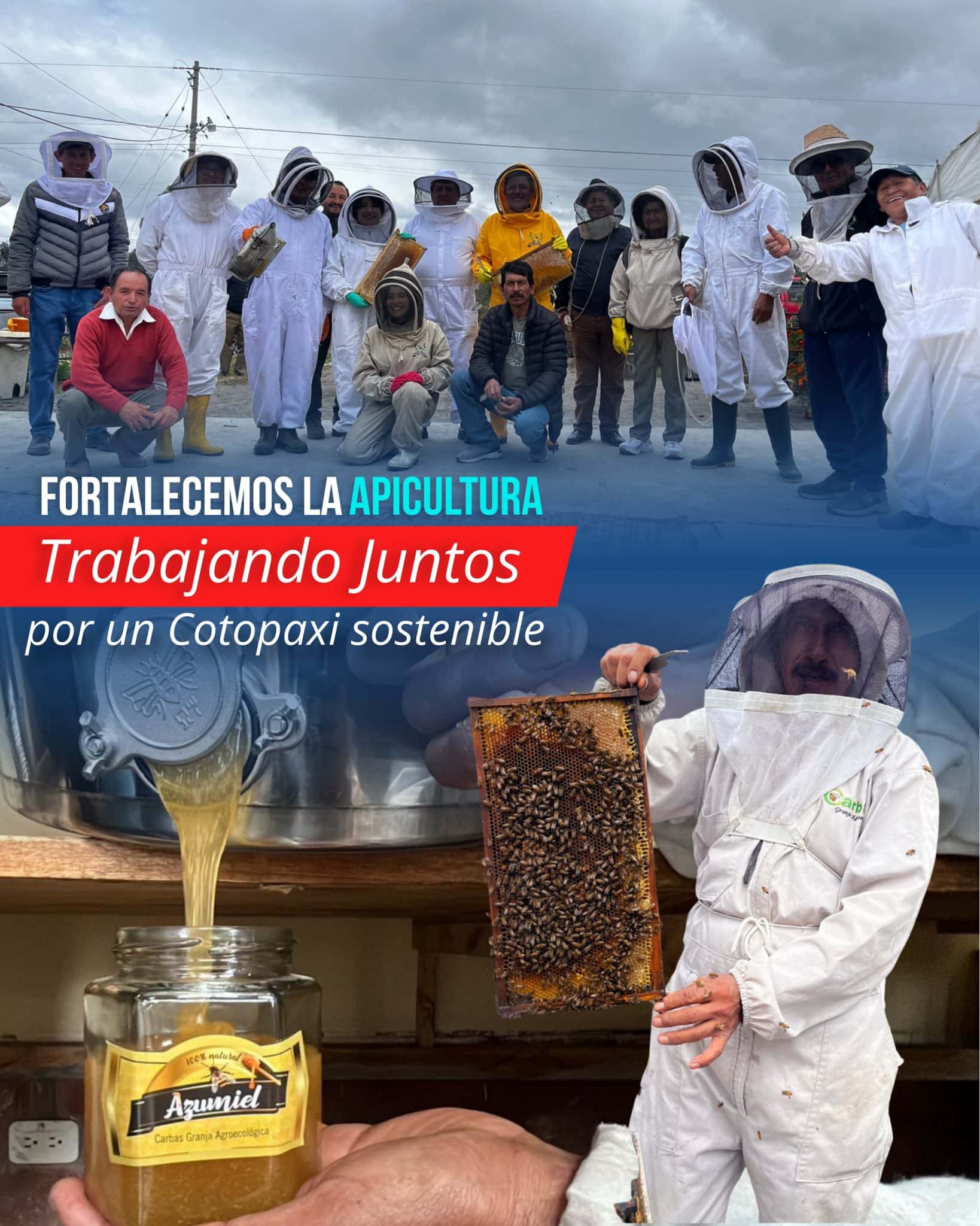 Fortalecemos la apicultura trabajando juntos