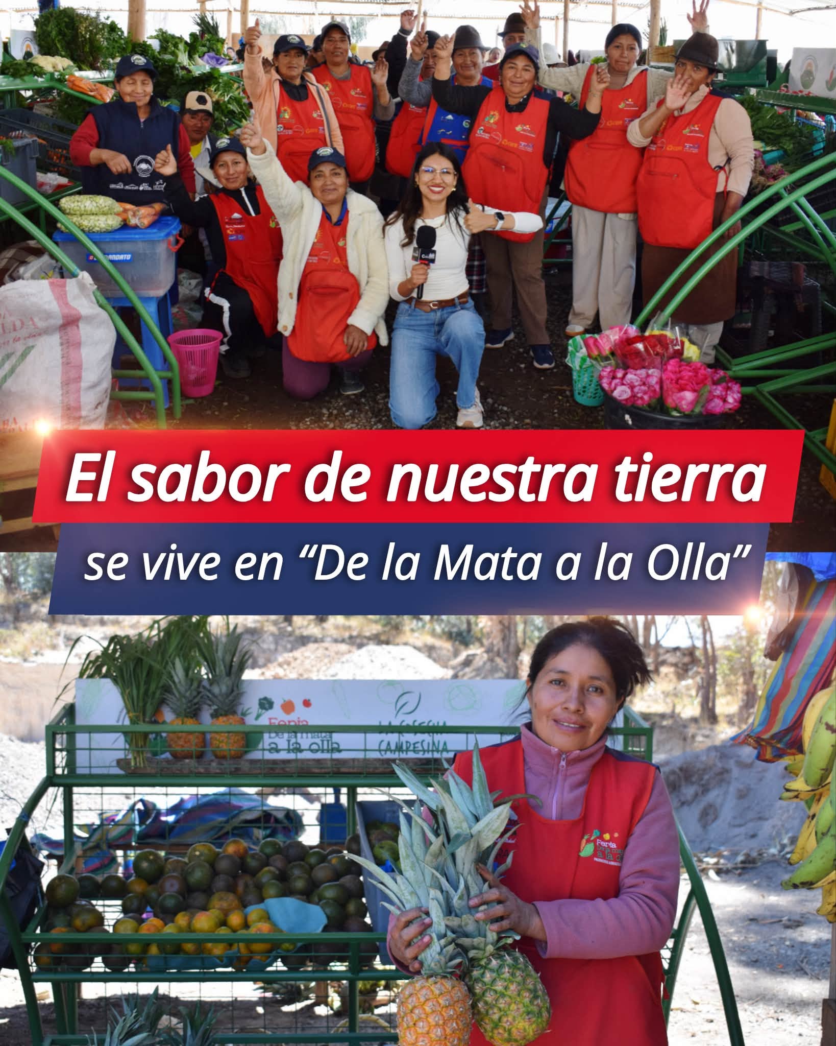 ¡De la mata a la olla, con el corazón de nuestros productores!